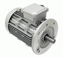 PERNO FARFALLA TBG1600 MOTOR. (0028020022)