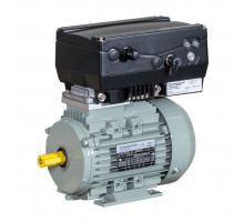 MOTORE MONO 140W 220/230/50-60 (0005010190)